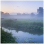 slides/The Longest Day.jpg river adur sussex west dawn cows mist water bridge cattle river clouds blue sky lillys banks reflections The Longest Day